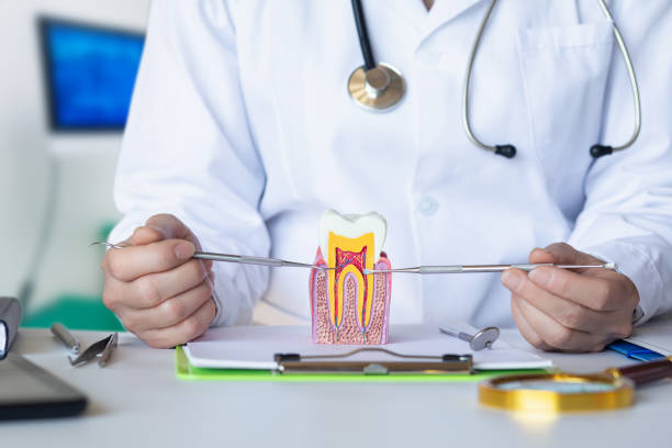 Best Emergency Dental Care for Broken or Chipped Teeth in Yorkshire, VA